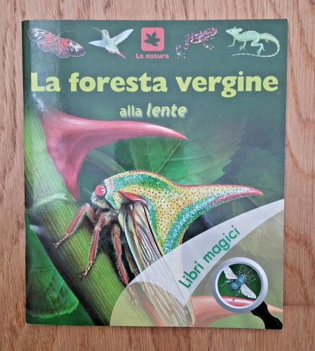 Foresta vergine alla lente - foresta,
