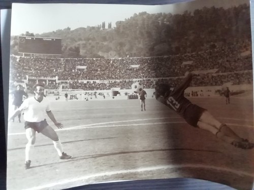 Foto asr associazione sportiva - foto,