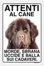 TERRANOVA Attenti al cane