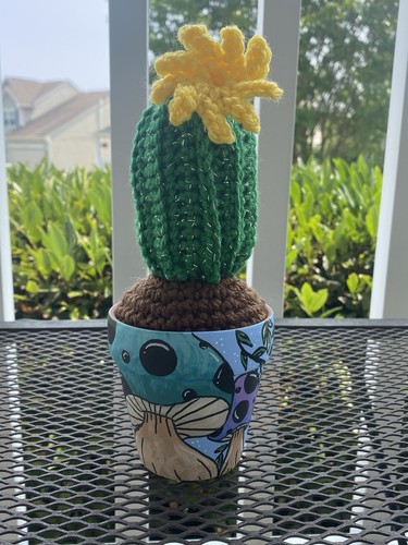 Cactus all uncinetto - cactus, 🌵
