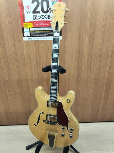 Chitarra elettrica