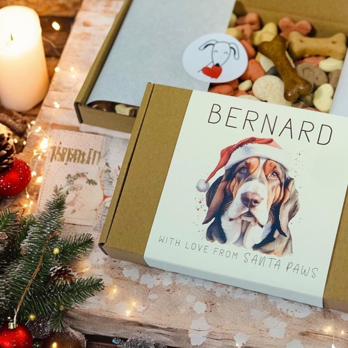 Regalo natale basset hound - natale,