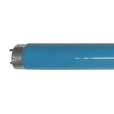 10X Philips Lampada Neon