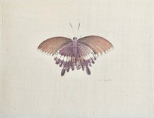 LA ROCHE LAFFITTE - Pittura