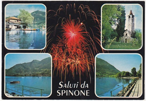 Spinone bergamo vedutine - spinone,