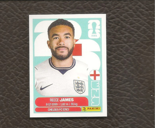 Reece james 2026 panini - james,