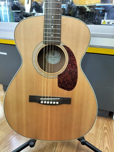 Chitarra acustica elettrica