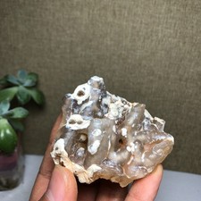 Bonsai Naturale Suiseki Gobi