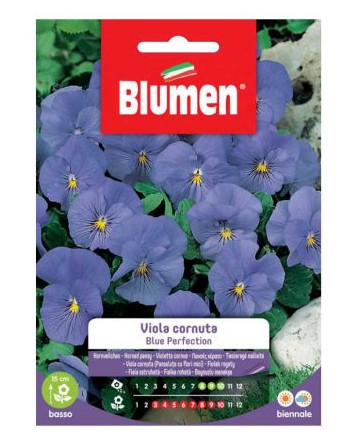 Blumen semi viola cornuta - di,