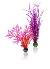 Biorb set piante medio - set,