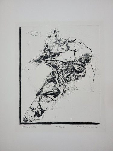 Walter piacesi - piacesi, (1929-2022)