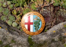 EMBLEMA / DISTINTIVO AUTO