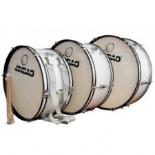 Jinbao Grancassa 50x20 per