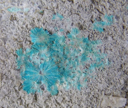 Cristalli cavansite 7 4 - cavansite, 7,4