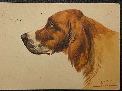 Cartolina tema cane pittore - cartolina,