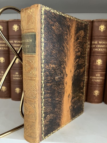 1882 luxury rebound - luxury,