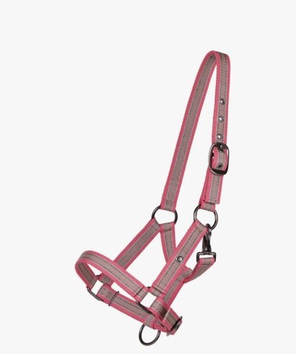 Qhp halfter fohlen - halfter, collezione