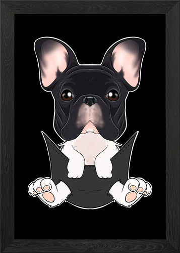 Poster bulldog francese - poster,