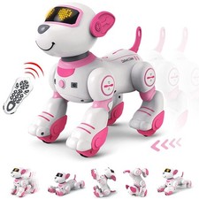 Cane Robot Radiocomandato