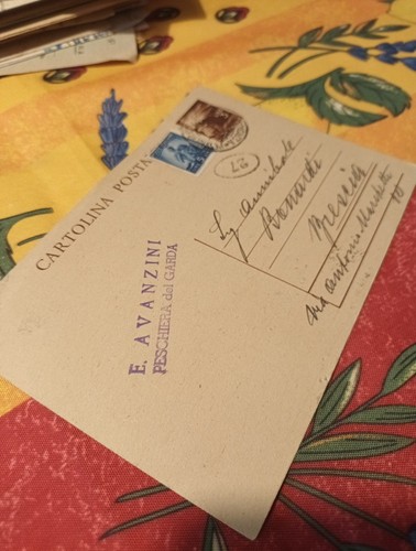 Cartolina postale novembre - cartolina,