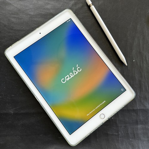 Apple ipad pro 32gb - apple,