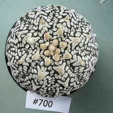 Prezzo di vendita flash 7 cm