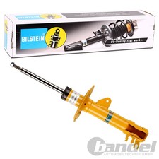 Ammortizzatore pressione gas