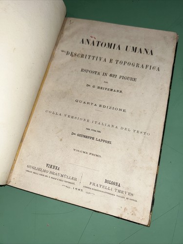Heitzmann anatomia umana - c.-,