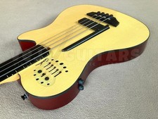 Chitarra elettrica acustica