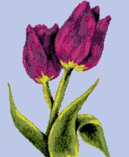 SCHEMA SCHEMI PUNTO CROCE QUADRO TULIPANI FIORI DMC