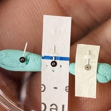 Mani bianche con quadrante