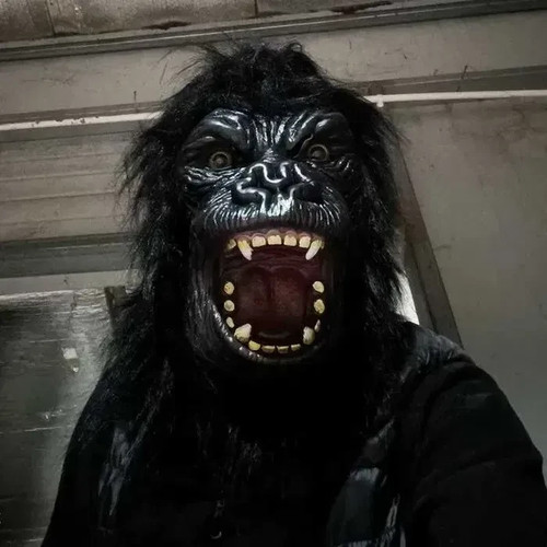 Maschera gorilla helloween - maschera,