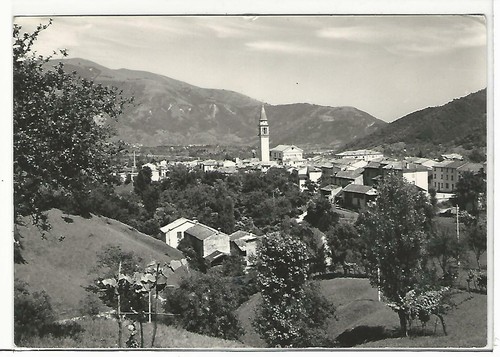 Belluno alano di - belluno,