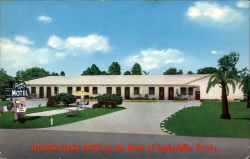 Zephyrhills florida - zephyrhills,