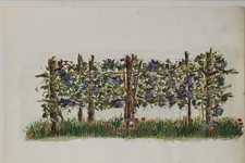 Dipinto a tempera acrilica su