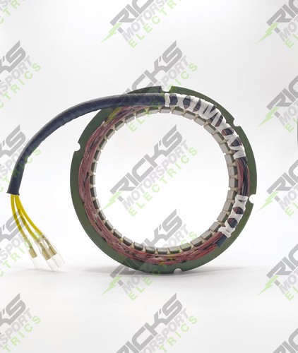 Ricks motorsport electric - ricks,
