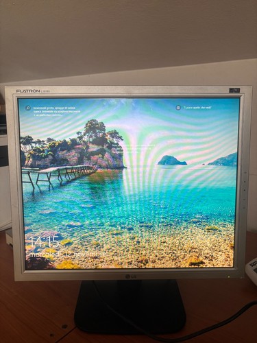 Monitor - , lg