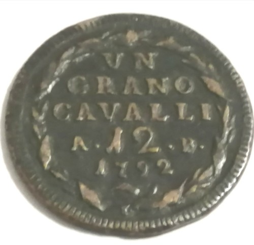 Grano cavalli tipo - cavalli, 3°
