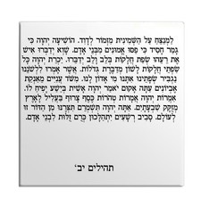 Calamita Frigo Salmi Capitolo