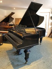 Bechstein Modello V Grand -