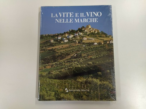 Vite vino nelle marche - vite, il