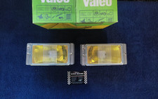 COPPIA FENDINEBBIA GIALLI