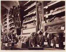 Palermo 2 photos front-back