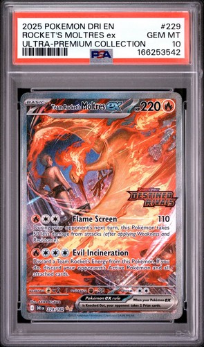 2025 pokemon dri illustrazione - 2025,