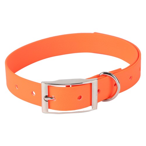Accessori cane collari per - cane,