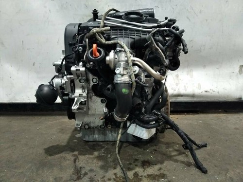 Bkd motore volkswagen jetta - bkd,