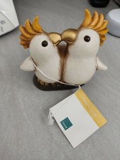 Coppia cacatua thun - cacatua,