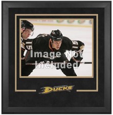 Anaheim Ducks Deluxe 16" x 20"