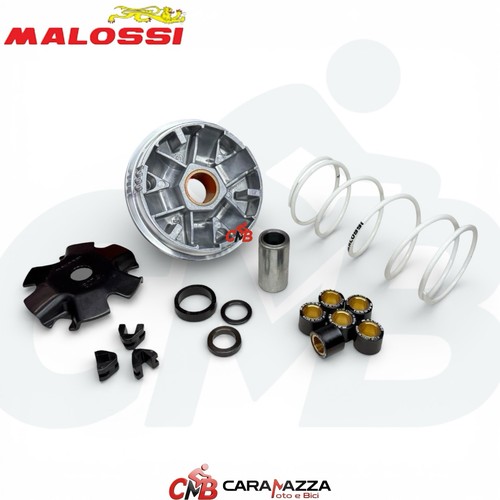 Variatore malossi multivar - malossi,