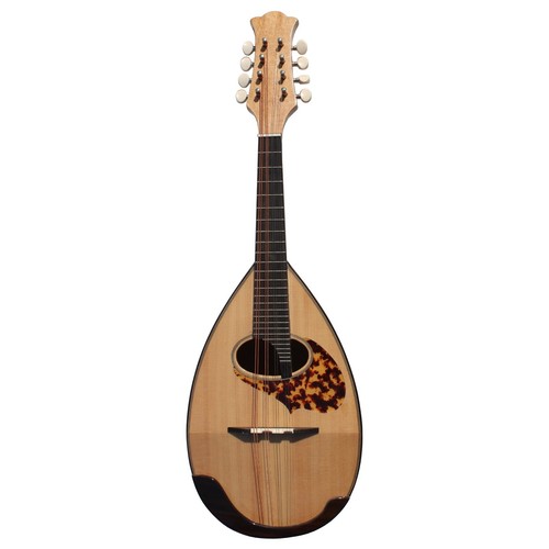 Bowl back mandolin - bowl, solid
